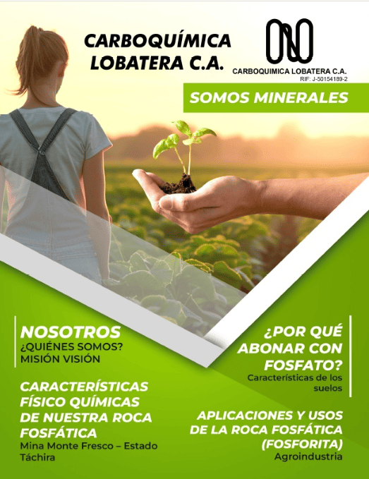 Carboquímica Lobatera - Revista