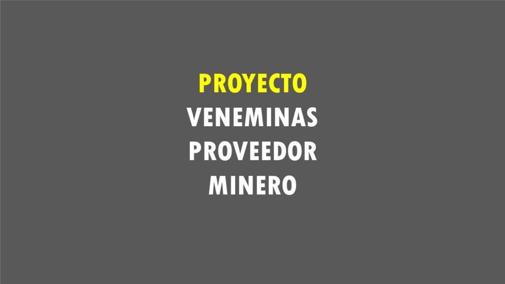 Proyecto Veneminas Proveedor Minero